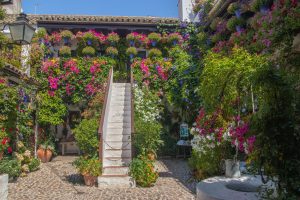 Patios de Córdoba Tour