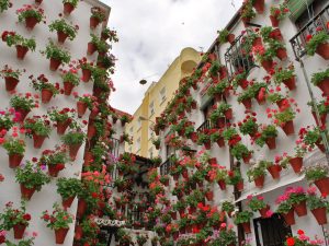 Patios de Córdoba Tour