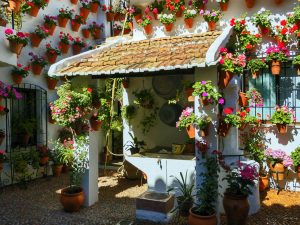 Patios de Córdoba Tour