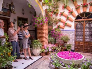 PATIOS CORDOBESES 