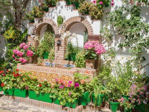 PATIO SAN BASILIO 22