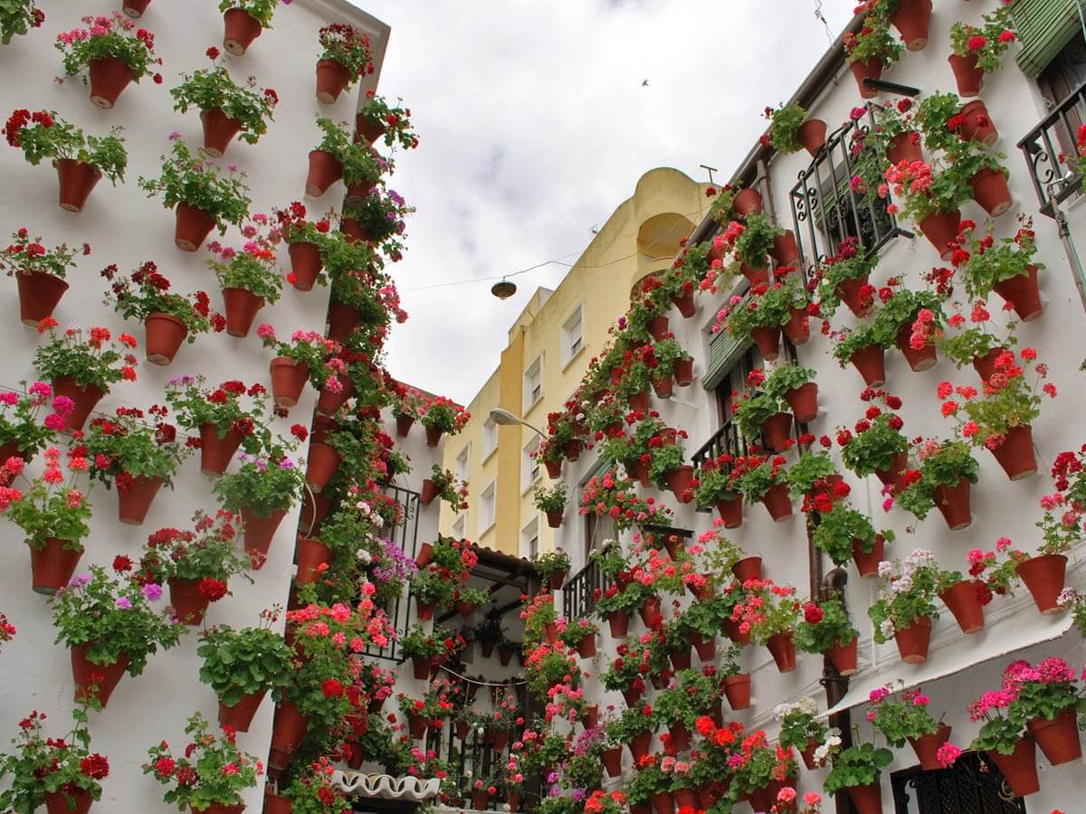 patios de cordoba