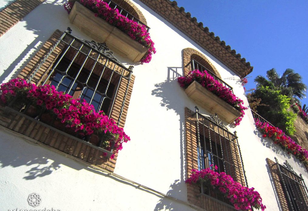 ¿Qué son los patios de Córdoba?